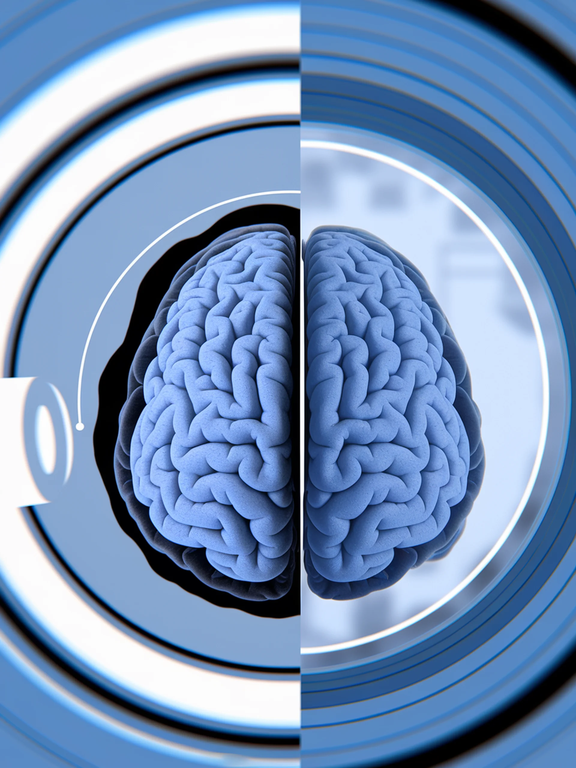 Language-Guided Image Registration
